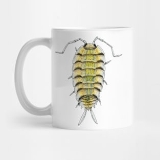 Porcellio bolivari Isopod Mug